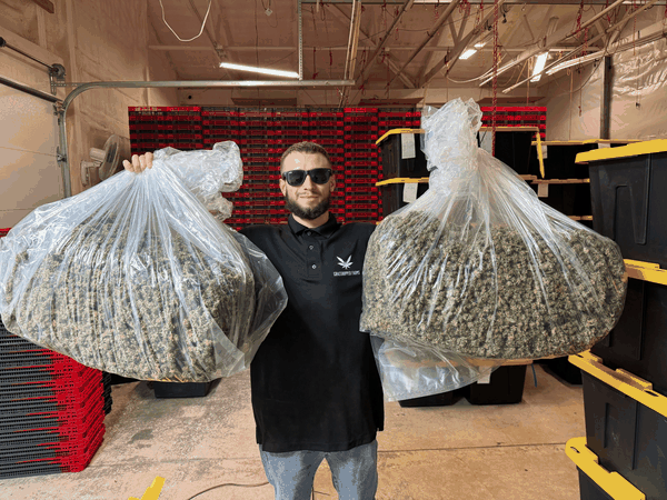 The Grasshopper Farms harvest team at work in Michigan and Colorado